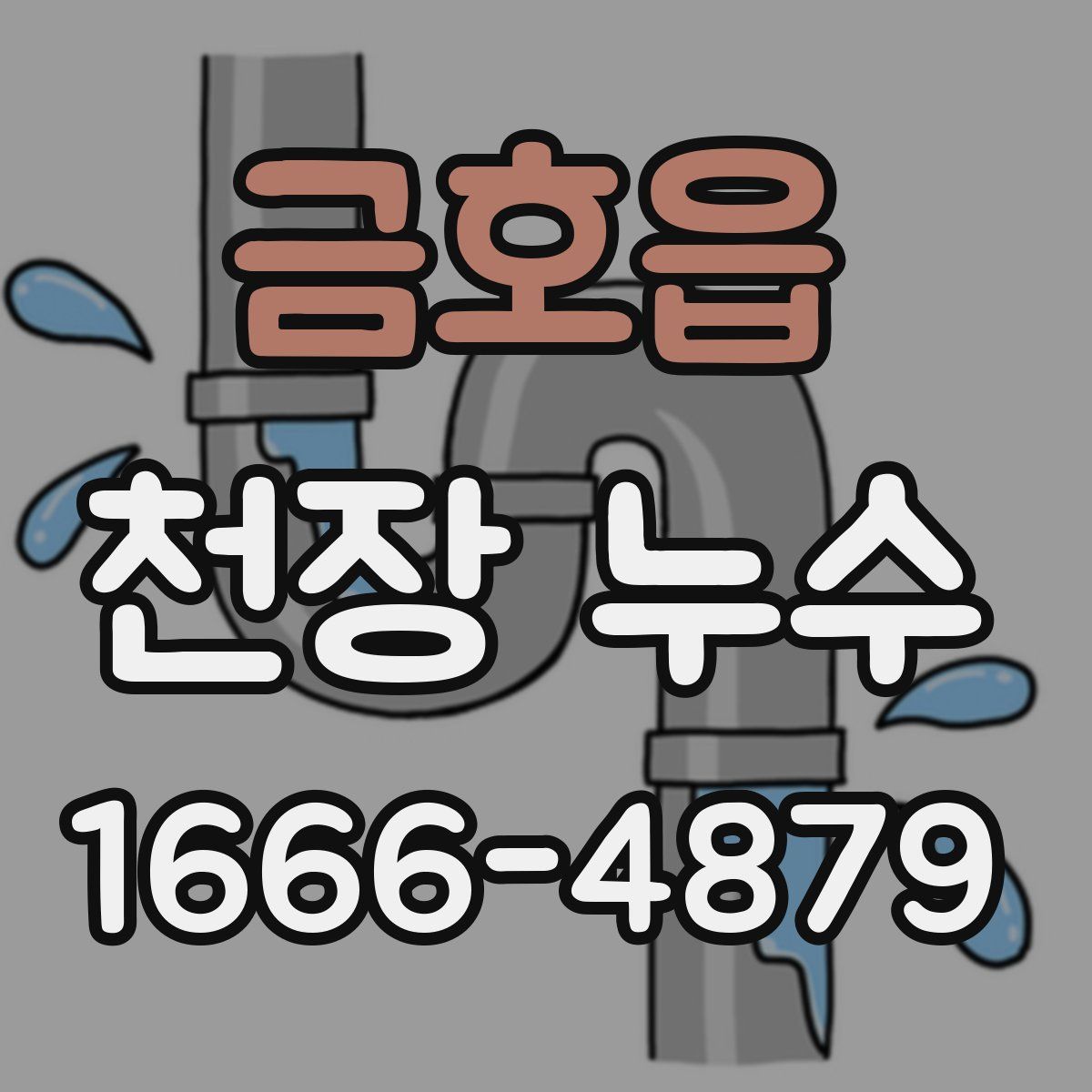 금호읍 천장 누수