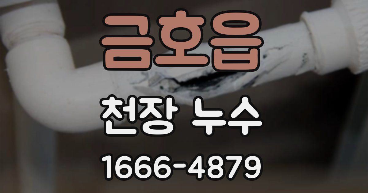 금호읍 천장 누수