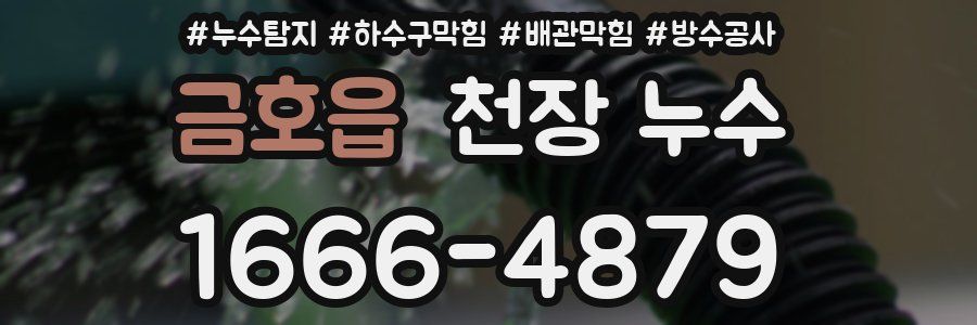 금호읍 천장 누수