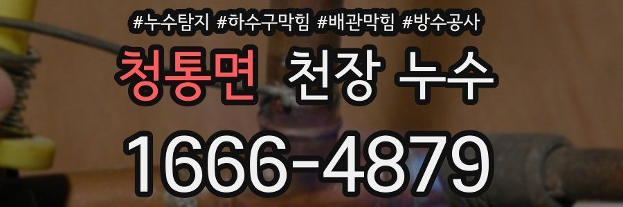 청통면 천장 누수