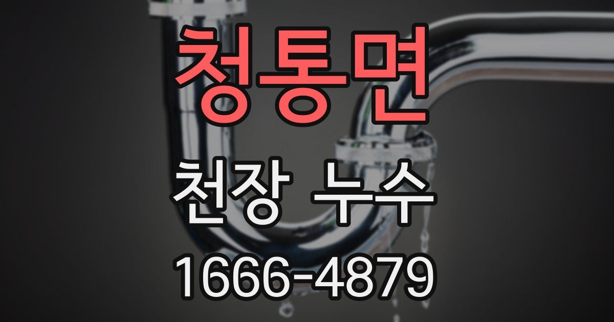 청통면 천장 누수