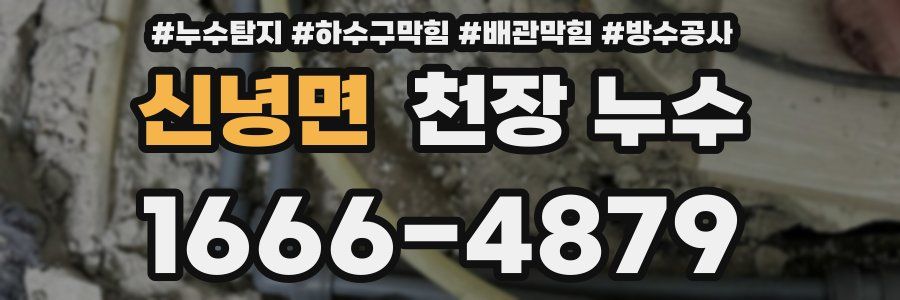 신녕면 천장 누수
