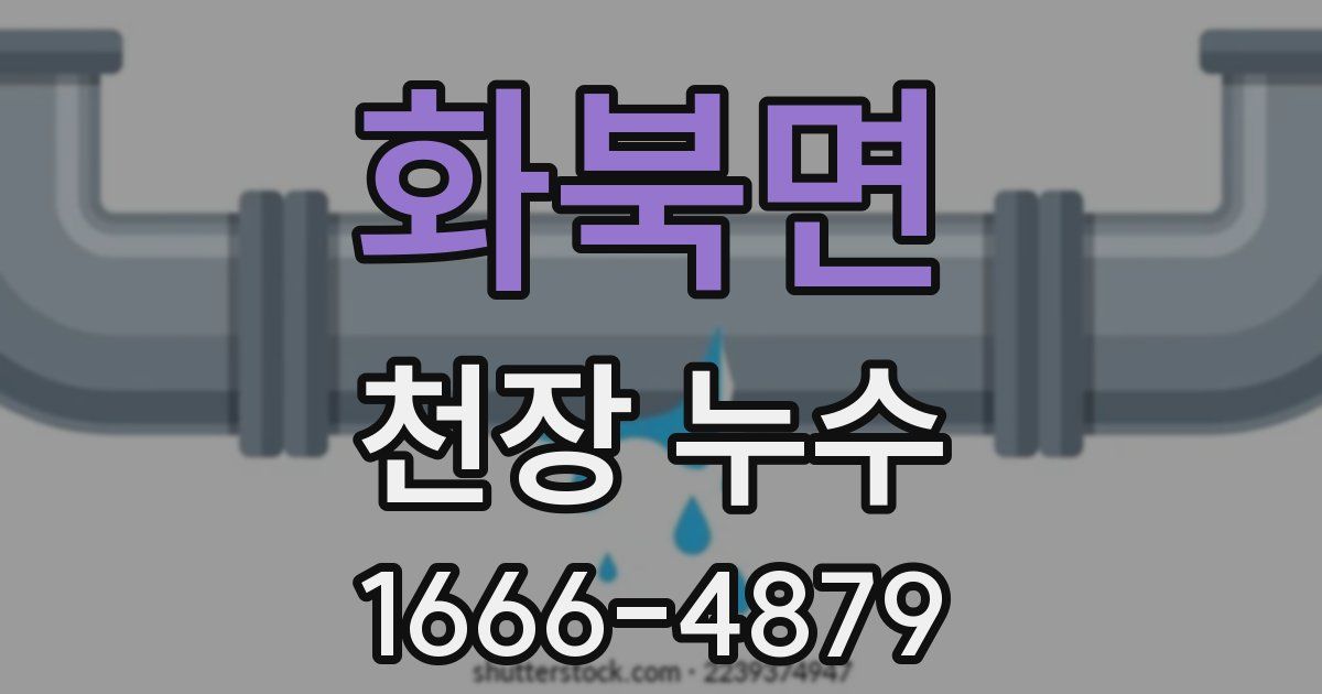 화북면 천장 누수