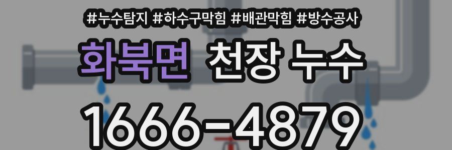 화북면 천장 누수