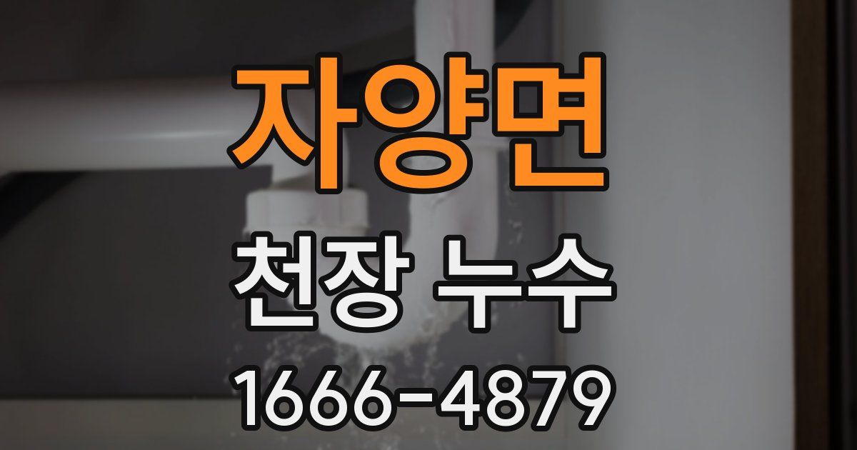 자양면 천장 누수
