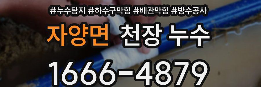 자양면 천장 누수