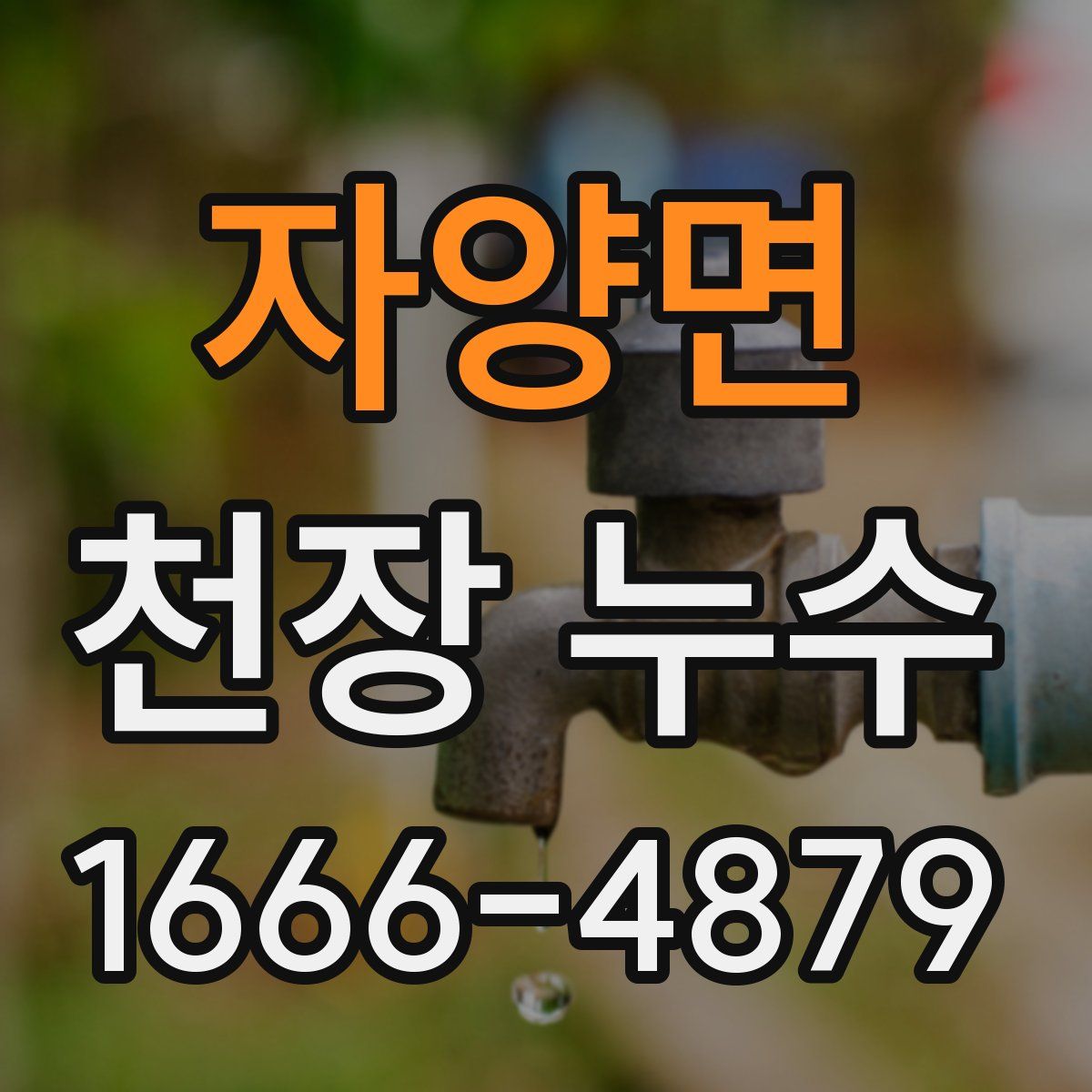 자양면 천장 누수