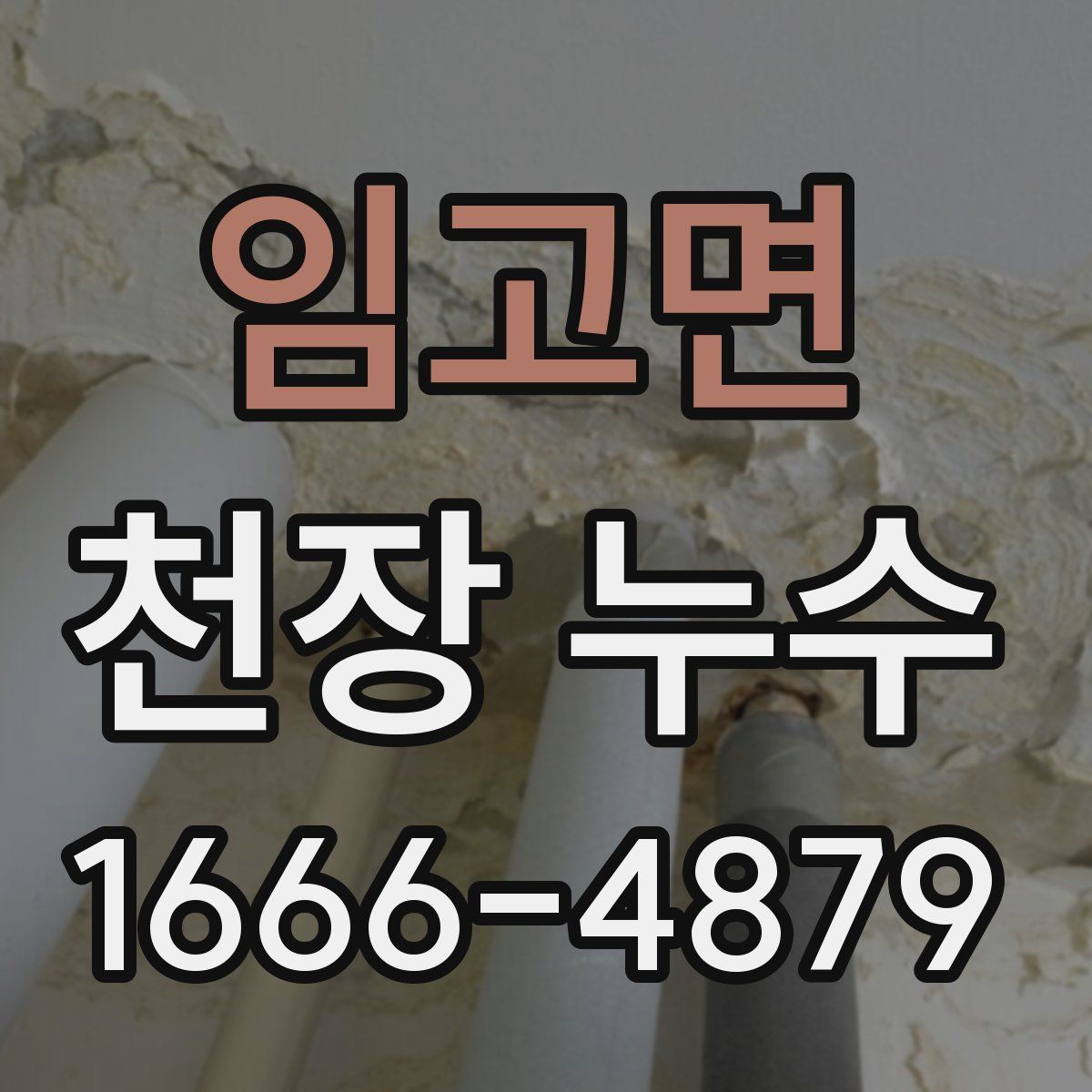 임고면 천장 누수