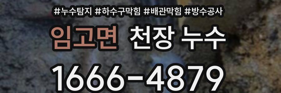임고면 천장 누수