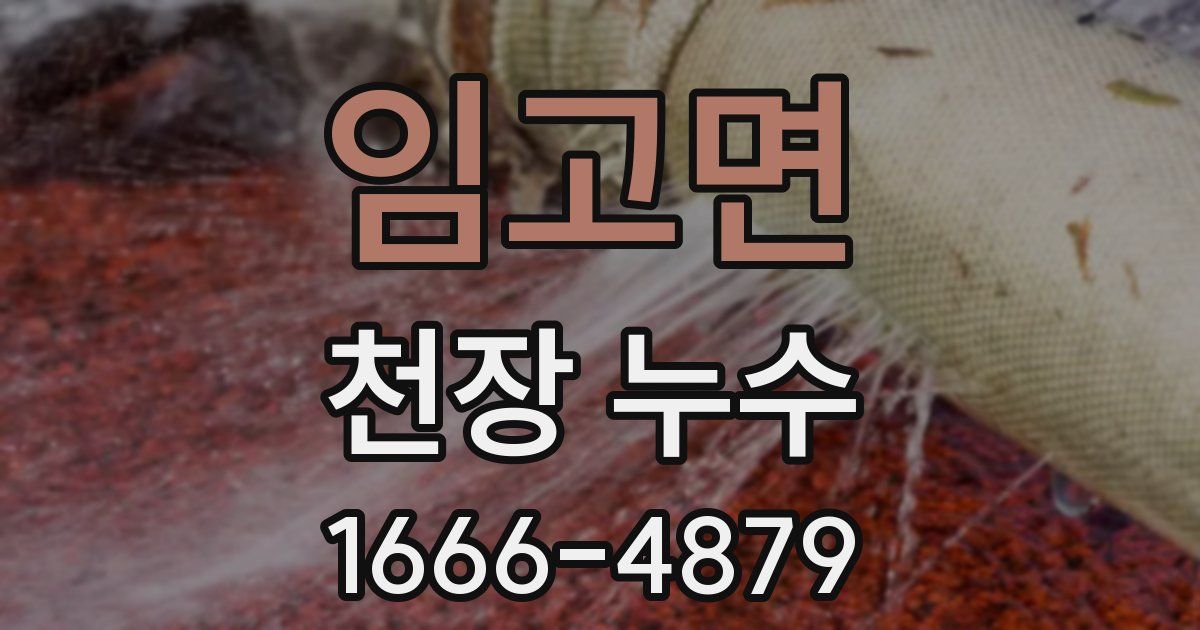 임고면 천장 누수