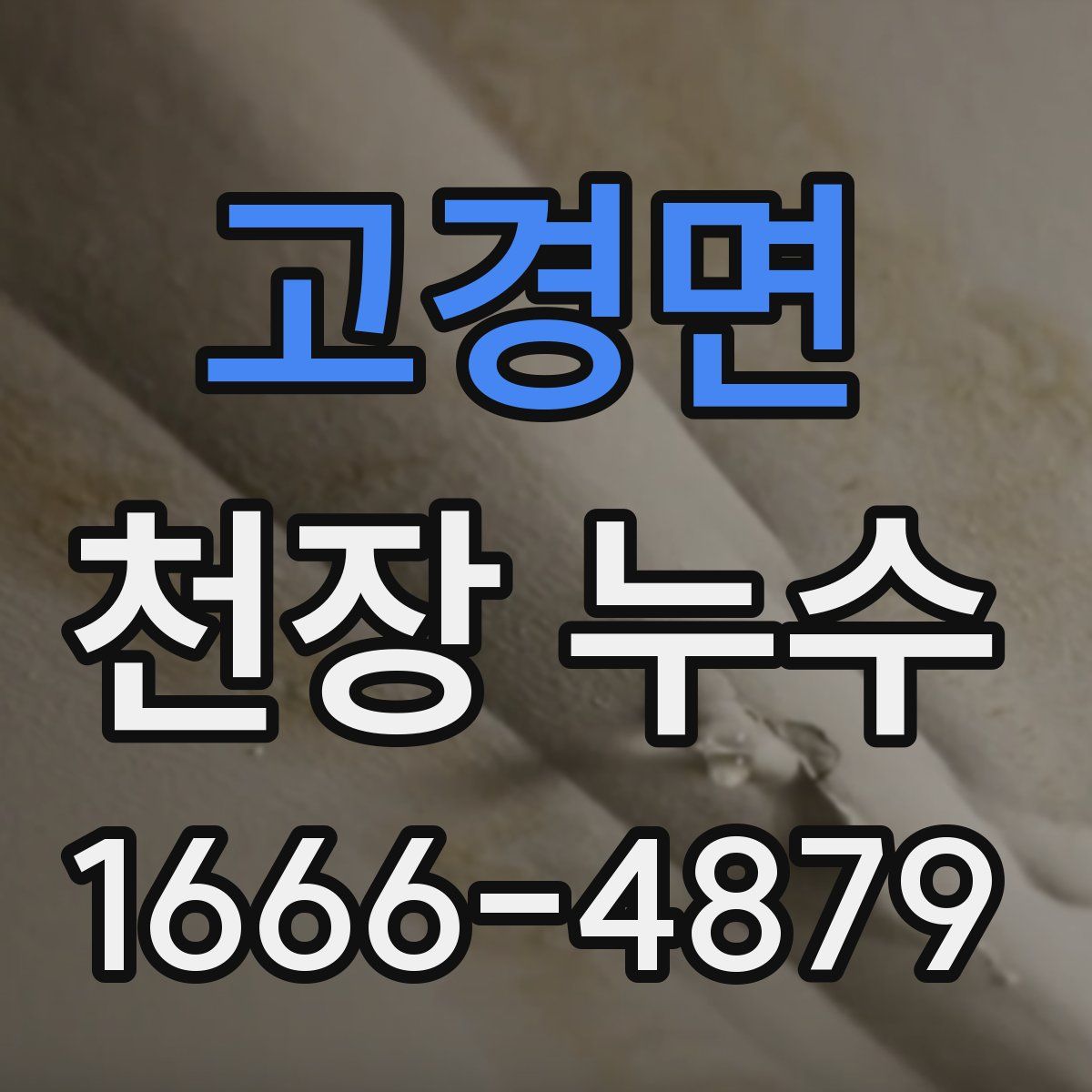 고경면 천장 누수