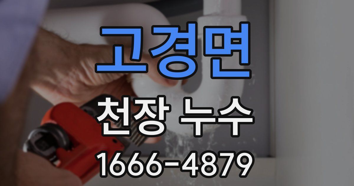고경면 천장 누수
