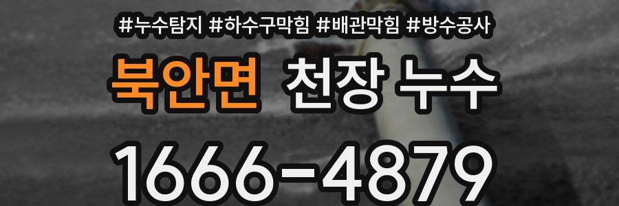 북안면 천장 누수