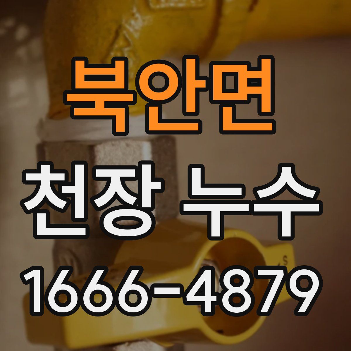 북안면 천장 누수