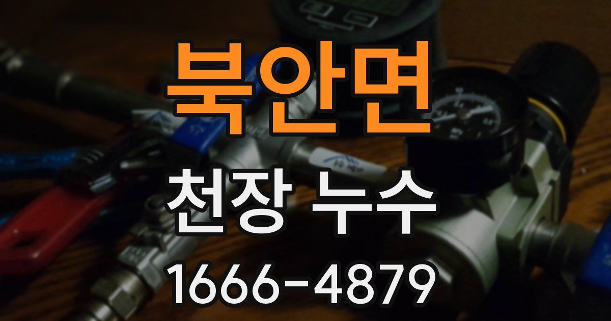 북안면 천장 누수