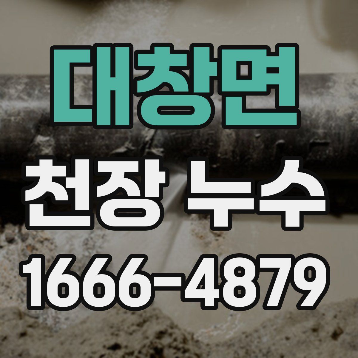 대창면 천장 누수