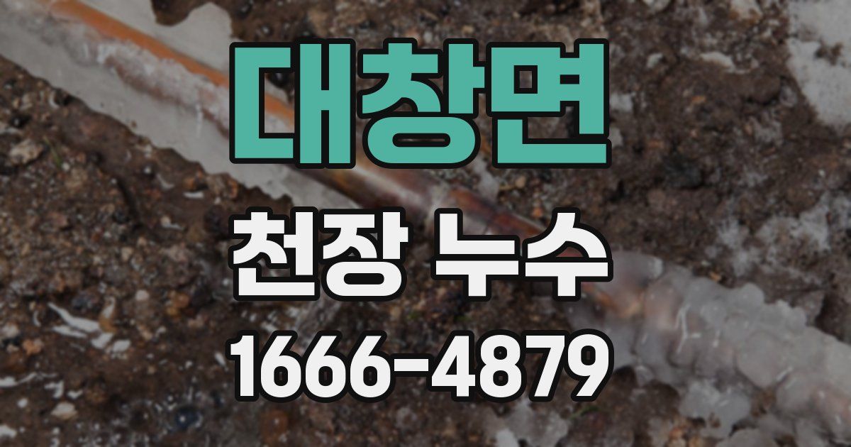대창면 천장 누수