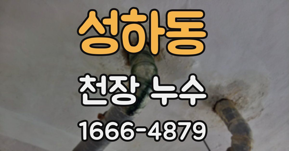 성하동 천장 누수