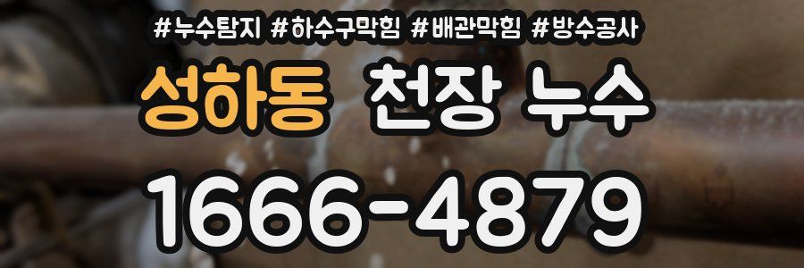 성하동 천장 누수