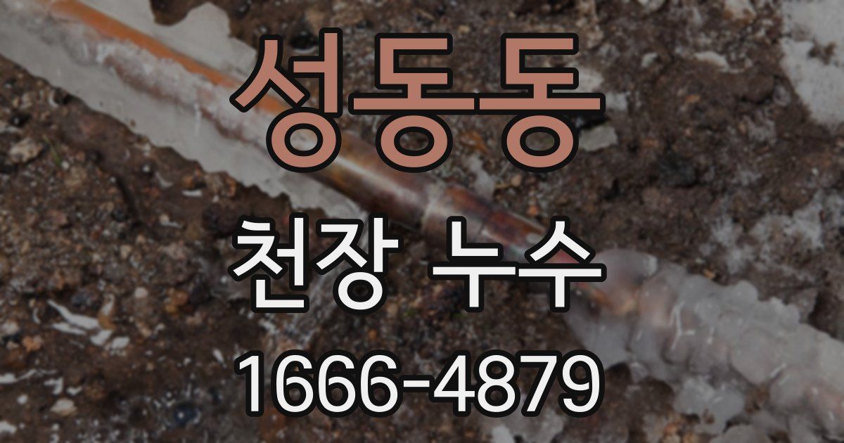 성동동 천장 누수