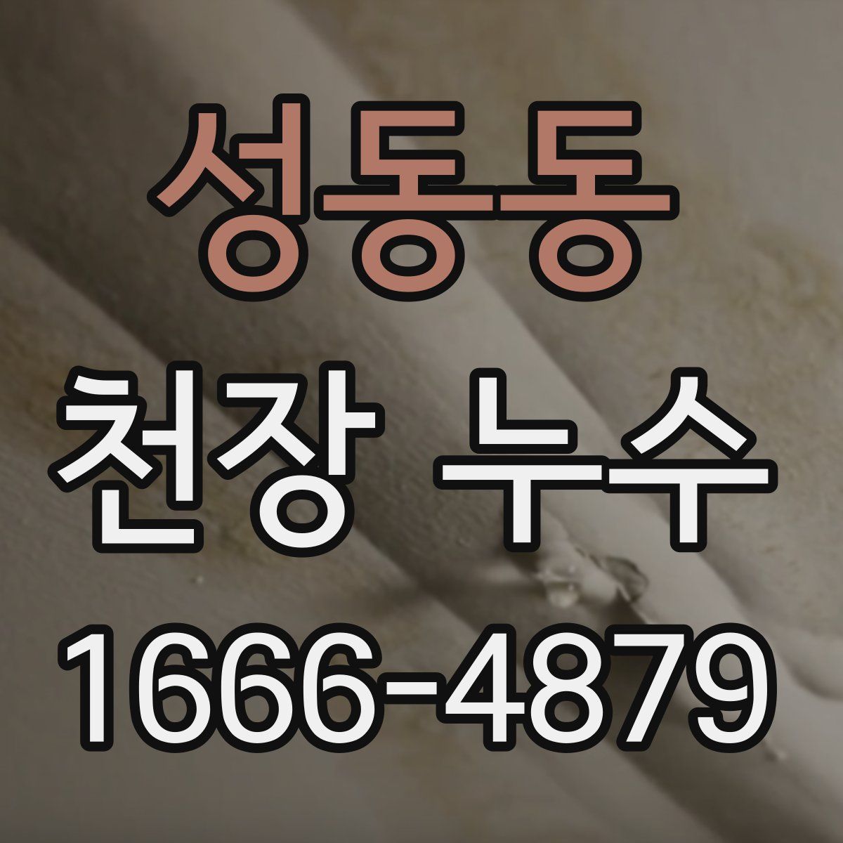 성동동 천장 누수