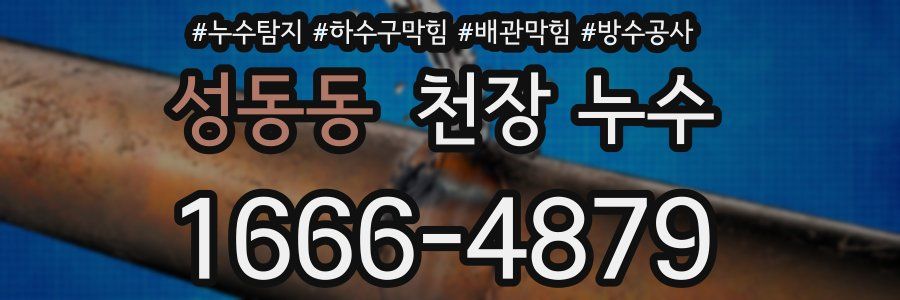성동동 천장 누수