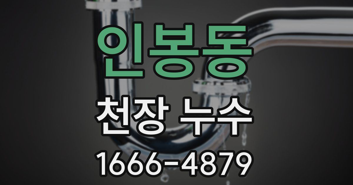인봉동 천장 누수