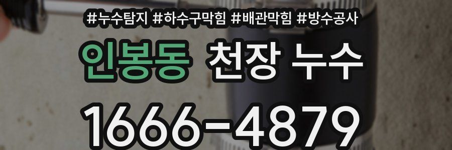 인봉동 천장 누수