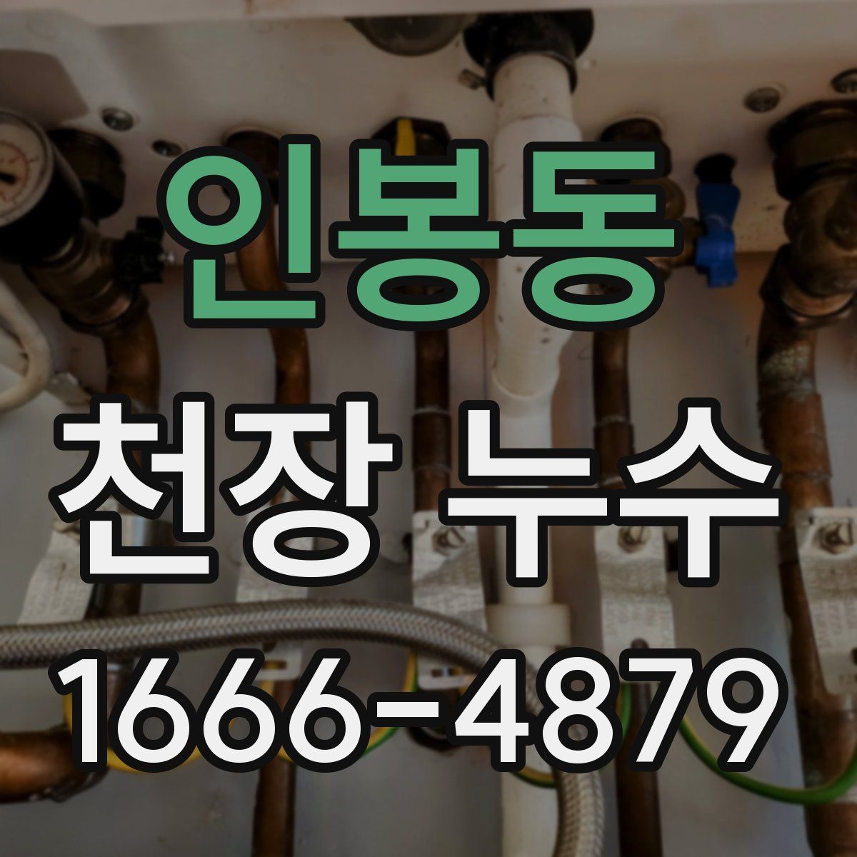 인봉동 천장 누수
