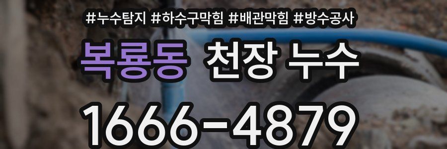 복룡동 천장 누수