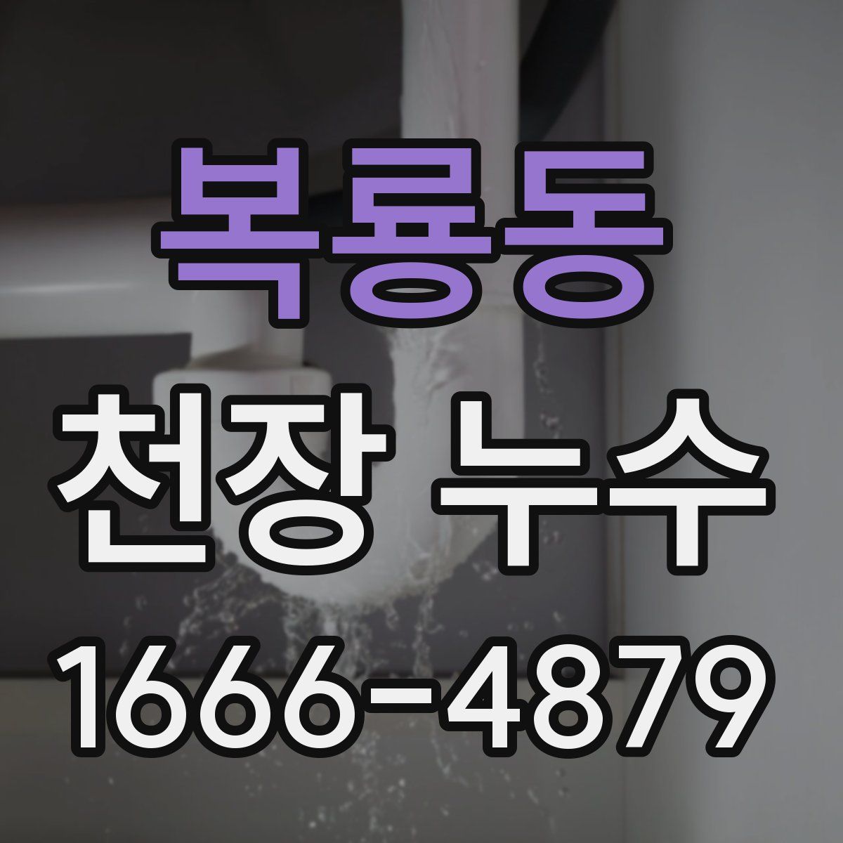 복룡동 천장 누수