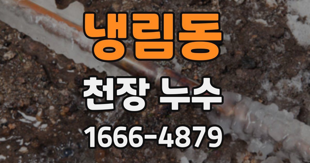 냉림동 천장 누수
