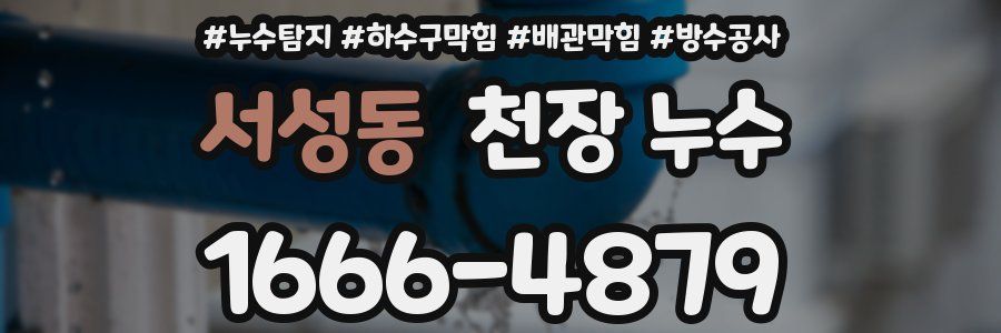 서성동 천장 누수