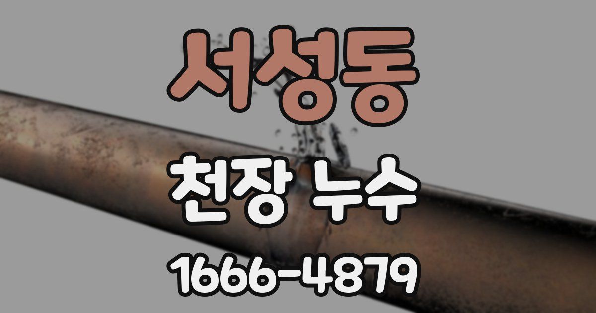 서성동 천장 누수