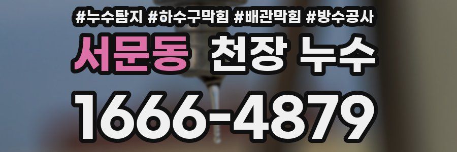 서문동 천장 누수