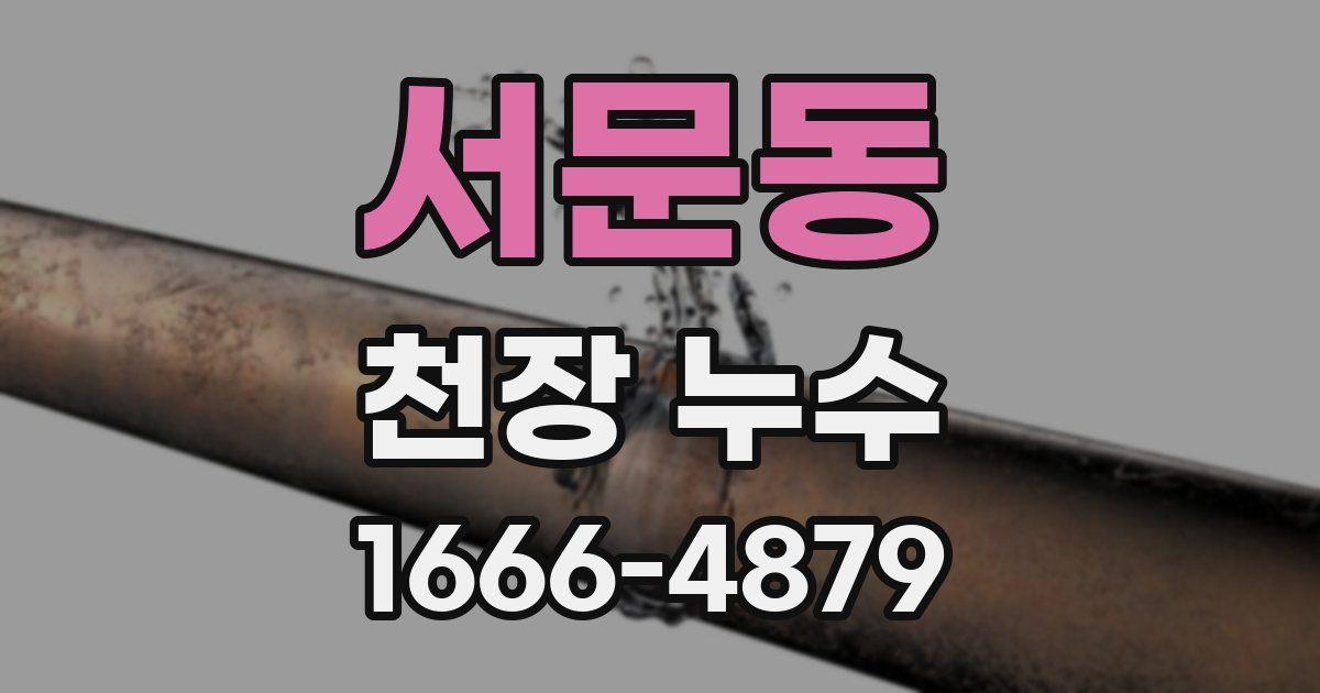 서문동 천장 누수