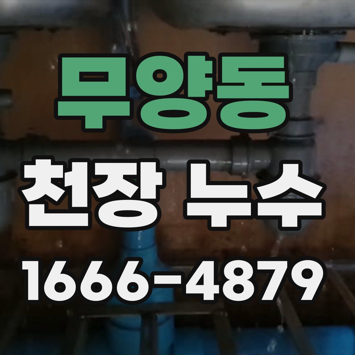 무양동 천장 누수