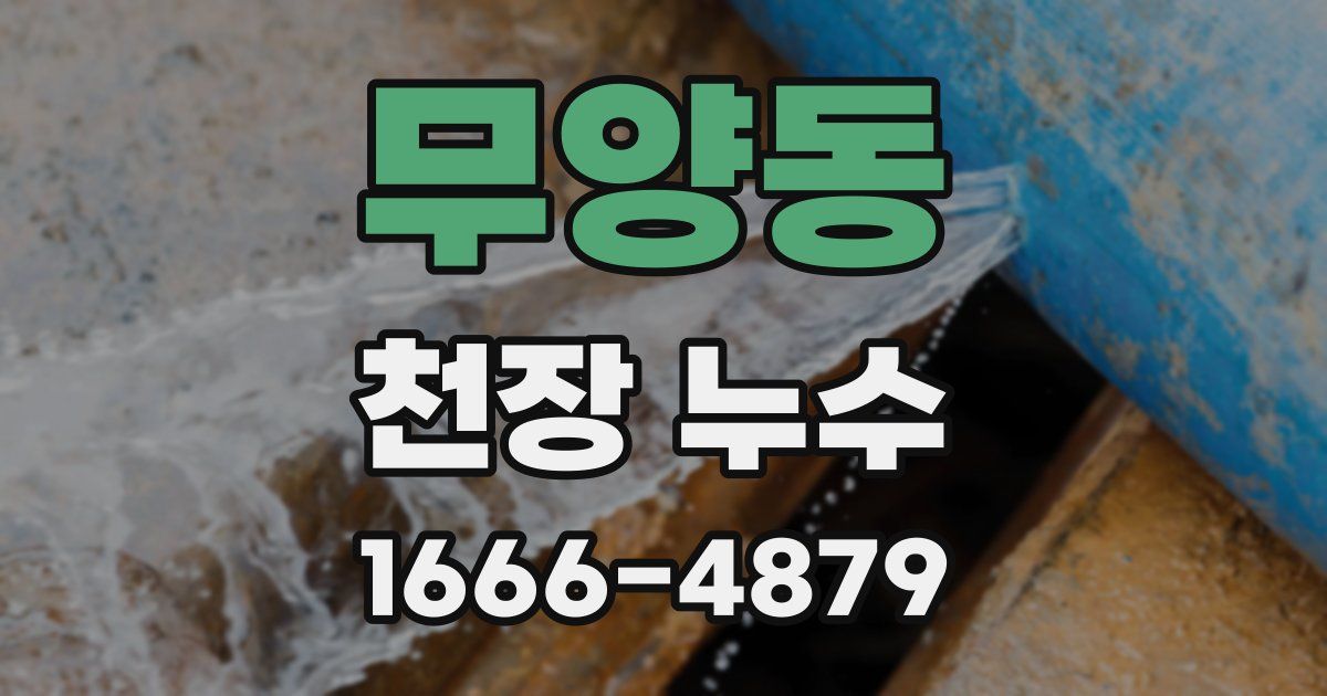 무양동 천장 누수