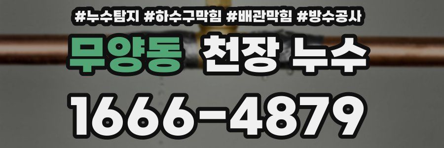 무양동 천장 누수