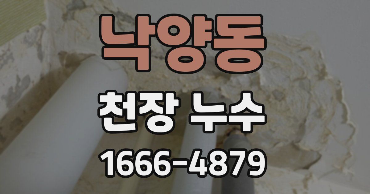 낙양동 천장 누수