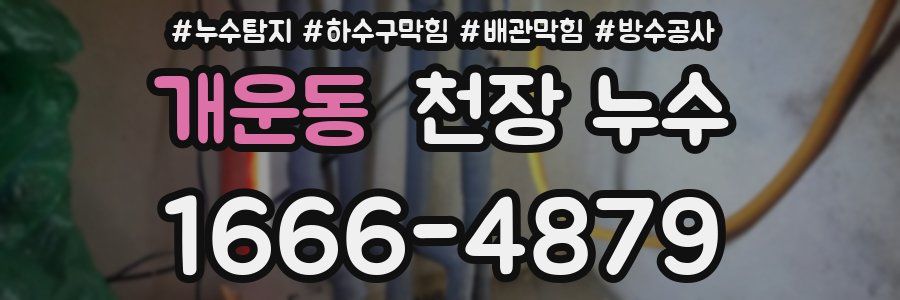 개운동 천장 누수