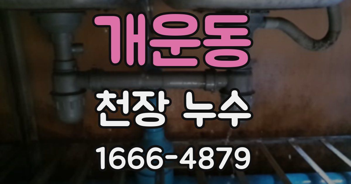 개운동 천장 누수