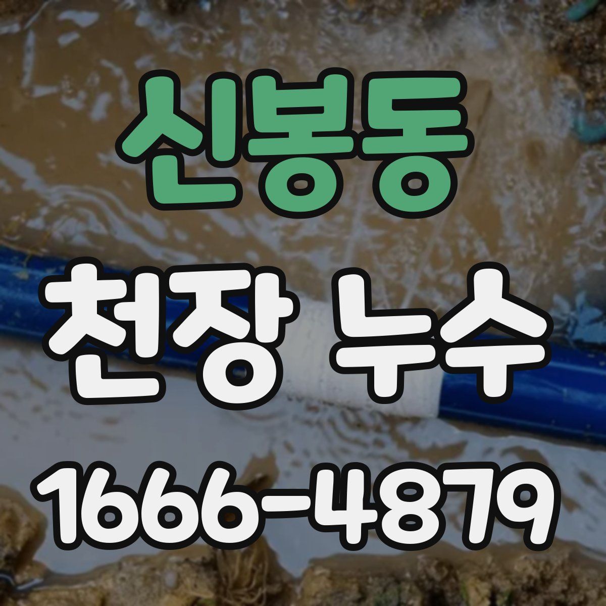신봉동 천장 누수