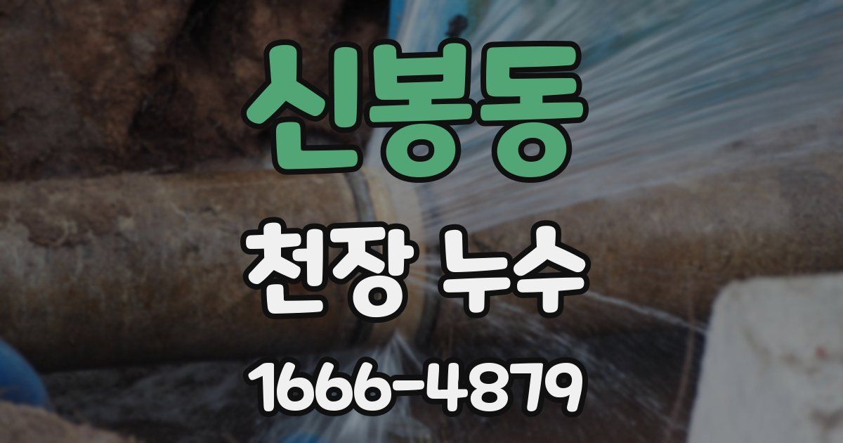 신봉동 천장 누수