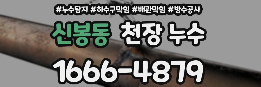 신봉동 천장 누수
