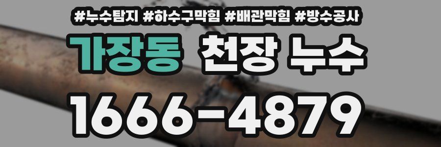 가장동 천장 누수