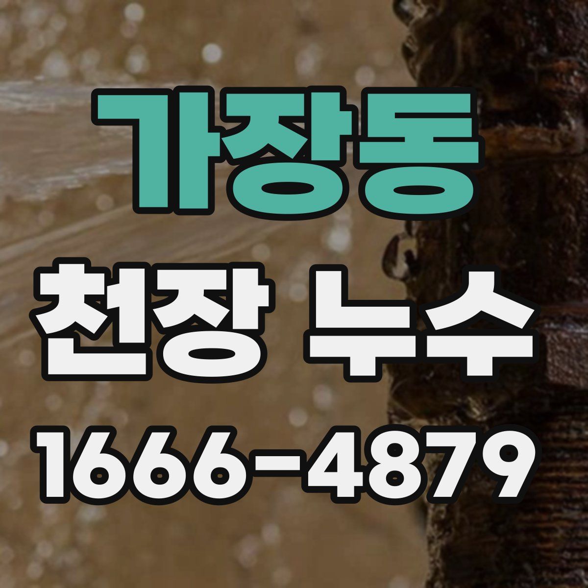 가장동 천장 누수