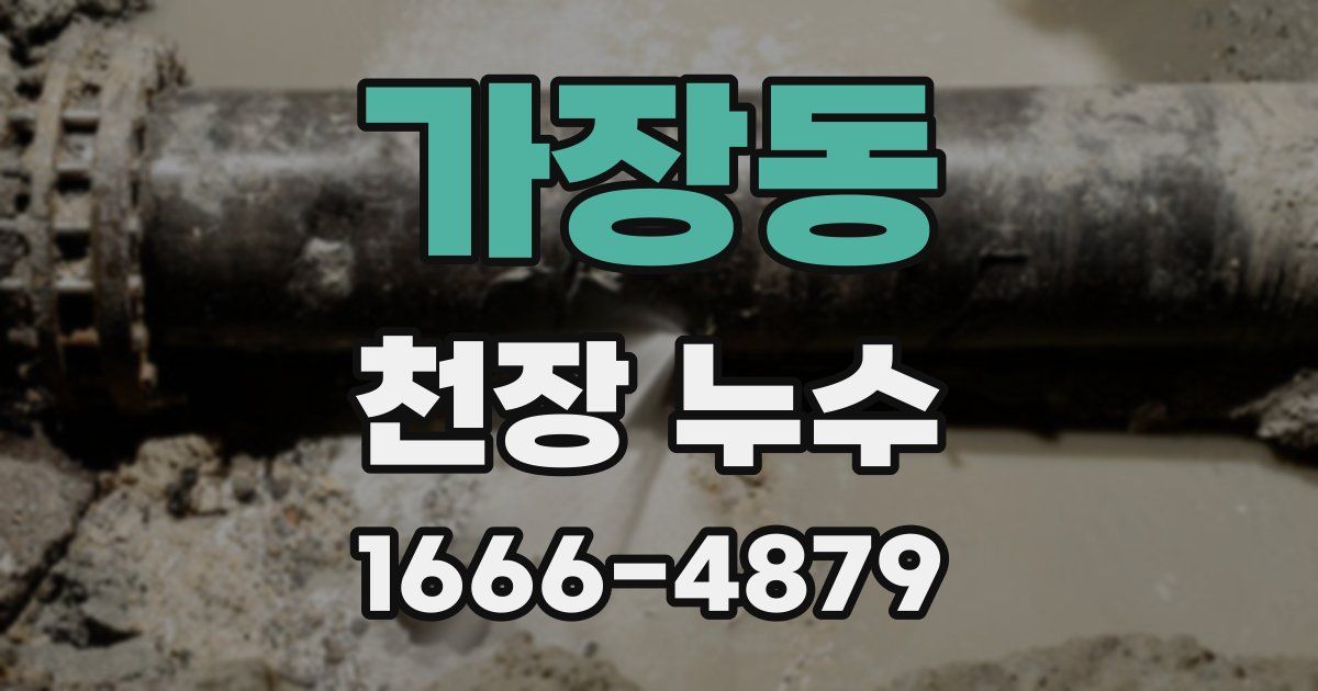 가장동 천장 누수
