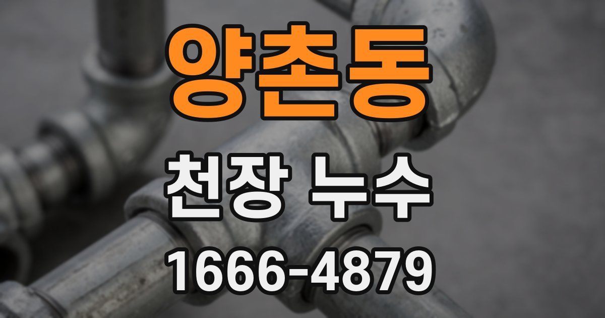 양촌동 천장 누수