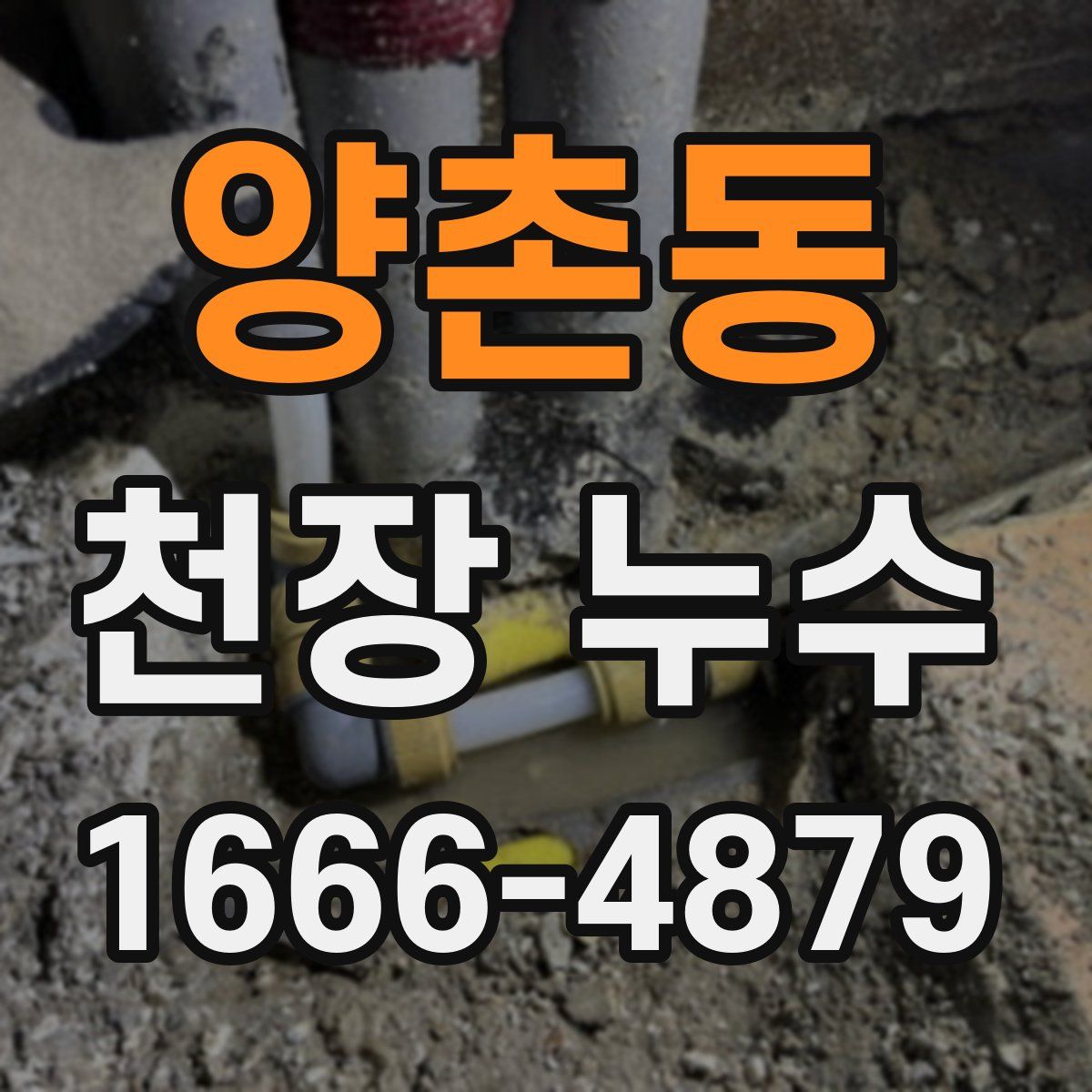 양촌동 천장 누수